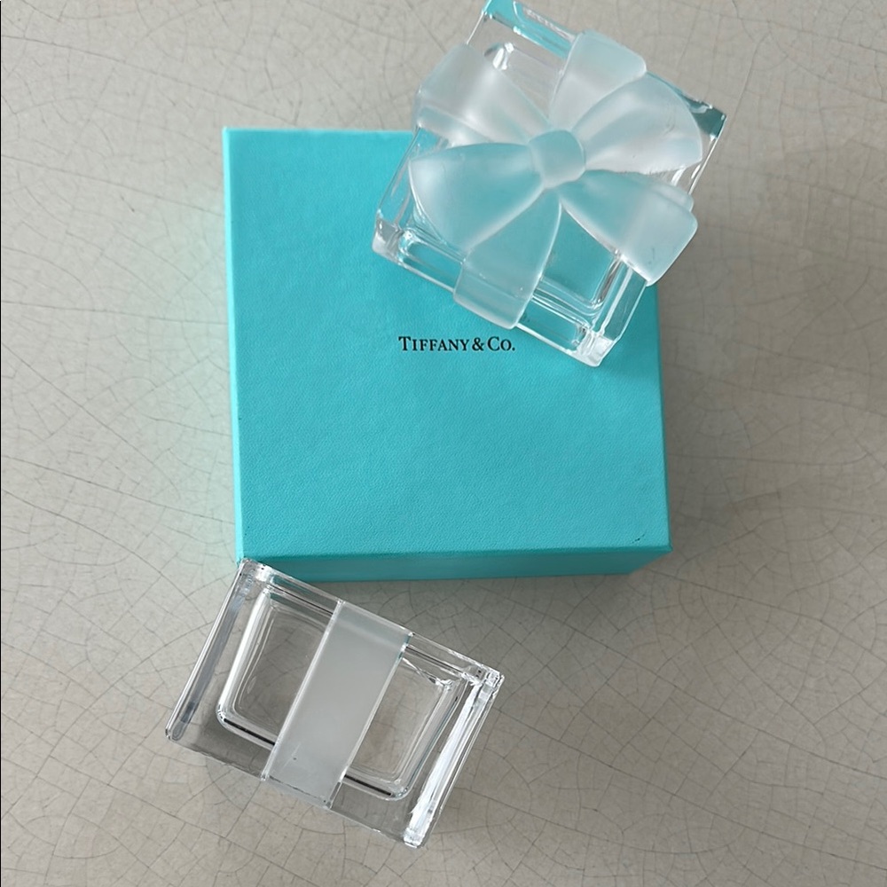 NWT Discontinued Tiffany & Co. Crystal Box with Frosted Bow